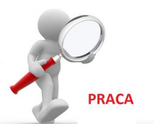 paca